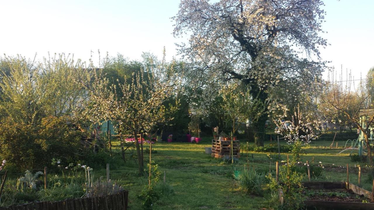 Chambre D'Hotes A La Campagne Nevers Challuy Exteriör bild